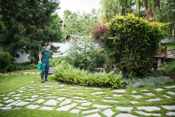 Best Local Pest Control Services  in Warren, MI